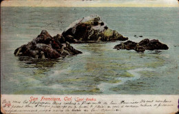 SAN FRANCISCO   ( ETATS-UNIS )   SEAL-ROCKS    ( CARTE USEE ) - San Francisco