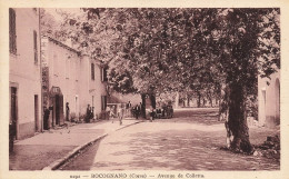 Bocognano * Avenue De Colletta * Villageois * Corse Du Sud 2A - Otros & Sin Clasificación