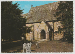 Australia TASMANIA TAS St John The Baptist Church BUCKLAND Nucolorvue NCV389 Postcard C1970s - Otros & Sin Clasificación