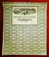 Sociedad Hullera Del Alto Aragón, (Spain) 1918 Share Certificate - Mineral
