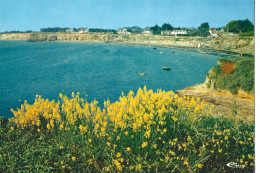 Carte Postale - Pénestin -sur-Mer - Plage De Poudrantais - Pénestin