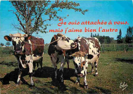 Animaux - Vaches - Carte Humoristique - CPM - Voir Scans Recto-Verso - Vaches