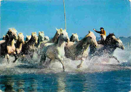 Animaux - Chevaux - Camargue - Chevauchée En Camargue - Ride Across Camargue - Etat Léger Pli Visible - CPM - Voir Scans - Cavalli