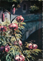 Fleurs - CPM - Voir Scans Recto-Verso - Flowers