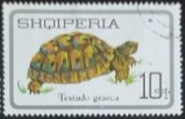 ALBANIA1973 TESTUDO GRAECA - Albania