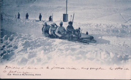 Sport D''hiver, Descente En Bobsleigh (7216) - Wintersport