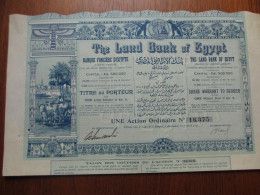 EGYPTE - ALEXANDRIE 1905 - THE LAND BANK OF EGYPT - TITRE DE 5 LIVRES STERLING - CAPITAL 500 000 - BELLE DECO - Andere & Zonder Classificatie