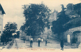 GRIGNAN . Entrée Du Château . CPA Animée - Grignan