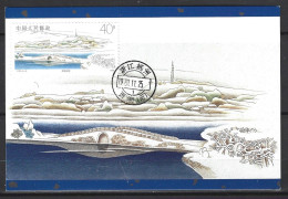 CHINE. N°2979 De 1989 Sur Carte Maximum. Pont. - Bridges