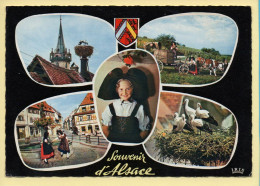 Région Alsace : Souvenir D'Alsace / Multivues / Blason (animée) CPSM (voir Scan Recto/verso) - Alsace