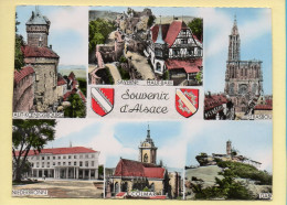 Région Alsace : Souvenir D'Alsace / Multivues / Blason / CPSM (voir Scan Recto/verso) - Alsace