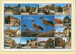 Région Alsace : Souvenir D'Alsace / Multivues / Au Pays Des Cigognes (voir Scan Recto/verso) - Alsace