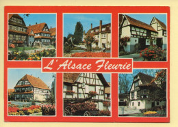 Région Alsace : L'Alsace Fleurie – Multivues (voir Scan Recto/verso) - Alsace