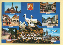 Région Alsace : En Alsace / Au Pays Des Cigognes – Multivues / Blason (voir Scan Recto/verso) - Alsace