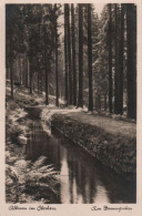 46813 - Altenau - Am Dammgraben - Ca. 1950 - Altenau