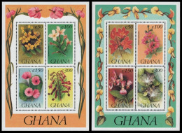 Ghana 1993 - Mi-Nr. Block 211-212 ** - MNH - Blumen / Flowers - Ghana (1957-...)