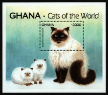 Ghana 1994 - Mi-Nr. Block 250 ** - MNH - Katzen / Cats - Ghana (1957-...)