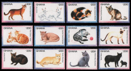 Ghana 1994 - Mi-Nr. 1994-2005 ** - MNH - Einzeln - Katzen / Cats - Ghana (1957-...)