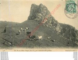 39.  Un Pic Du MOnt Poupet Près SALINS DU JURA . - Sonstige & Ohne Zuordnung