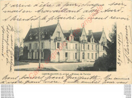 47.  CASTELJALOUX .  Château De Tarnine . - Casteljaloux