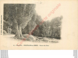 21.  CHATILLON SUR SEINE .  Source Des Ducs . - Chatillon Sur Seine