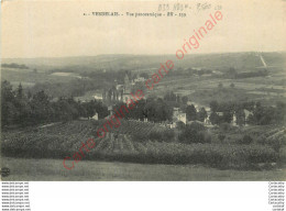 33.  VERDELAIS .  Vue Panoramique . - Verdelais