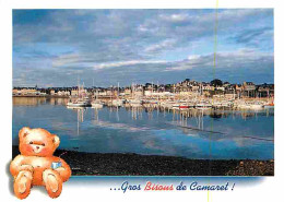 29 - Camaret Sur Mer - Le Port - Bateaux - Ours En Peluche - Voir Scans Recto Verso  - Camaret-sur-Mer