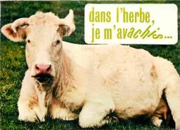 Animaux - Vaches - Carte à Message Humoristique - CPM - Voir Scans Recto-Verso - Cows