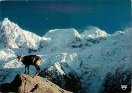 Animaux - Chamois - Chamois Devant L'Aiguille Du Midi - CPM - Voir Scans Recto-Verso - Autres & Non Classés