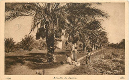 Scènes Et Types - Afrique Du Nord - Récolte De Dattes - Animée - CPA - Voir Scans Recto-Verso - Afrique