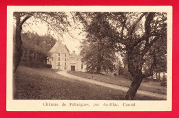 F-15-Aurillac-12P45 Le Château De Fabrégues, Par Aurillac, L'entrée, BE - Aurillac