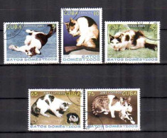 Cuba 2005 Chats (14) Yvert N° 4246 à 4250 Oblitérés Used - Used Stamps