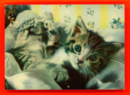 Animaux-386P125  Chatons Dans Un Lit - Chats