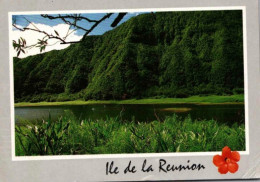 ILE De La REUNION. :  Le Grand Etang : Plaine Des Palmistes.    Cachet Postal. 1991 - Autres & Non Classés