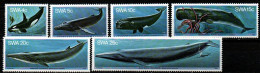 Südwestafrika 1980 - Mi.Nr. 466 - 471 - Postfrisch MNH - Tiere Animals Wale Whales - Wale