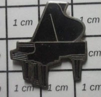 511c Pin's Pins / Beau Et Rare / MUSIQUE / GRAND PIANO A QUEUE NOIR  ET METAL ACIER - Musica