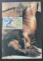 TAAF, T Numéro 264 Oblitéré De Kerguelen Le 1/1/2000 Sur Carte. - Storia Postale