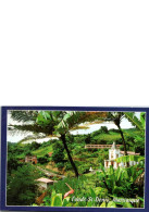 MARTINIQUE. -   FONTS ST DENIS.  -  Carte Datée 1998 - Otros & Sin Clasificación