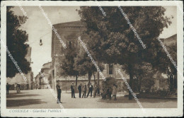 Cp13 Cartolina Cosenza Citta' Giardini Pubblici 1913 Calabria - Cosenza