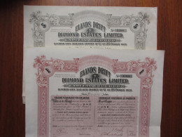 AFRIQUE DU SUD - LONDRES 1902 - 2 TITRES DIFFERENTS - ELANDS DRIFT DIAMOND ESTATES - TITRE DE 1 & 5 ACTIONS DE 1 £ - Autres & Non Classés
