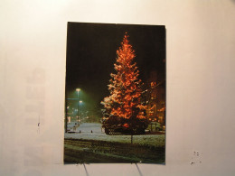 Bayreuth - Weihnachtsbaum Am Luitpoldplatz - Bayreuth