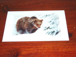 73382-         DOUBLE CARD - BEREN / BEARS / BÄREN / OURS / ORSI - Bears
