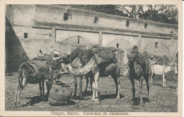 PC40426 Tanger. Maroc. Caravane De Chameaux. S. J. Nahon. B. Hopkins - World