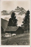 PC40198 Les Dents Du Midi. Perrochet. B. Hopkins - World