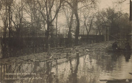 Paris * 5ème * Carte Photo * Inondations De 1910 * Jardin Des Plantes Et Rue De Buffon * Crue Catastrophe - Arrondissement: 05