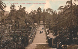 COIMBRA - Jardim Botânico, Avenida Das Tiíias  (2 Scans) - Coimbra