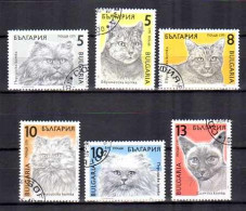 Bulgarie 1989 Chats (24) Yvert N° 3286 à 3291 Oblitérés - Gebraucht