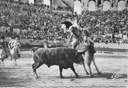 CPSM - CORRIDA DE TOROS - Picador En Action -Une Bonne Pique - Toros