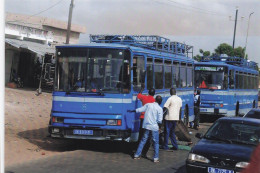 AUTOCAR SENEGAL    PHOTO 16.50 X 11 CM - Automobile