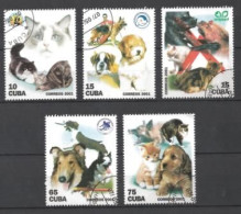 Cuba 2001 Chats (25) Yvert N° 3927 à 3931 Oblitérés - Used Stamps